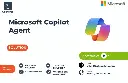 Microsoft Copilot Agent  (1).webp
