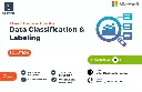 Data Classification & Labeling (1).webp