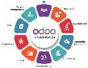 Odoo ERP.webp