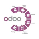 Odoo Post Implementation & Operational Support